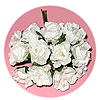 White Flower